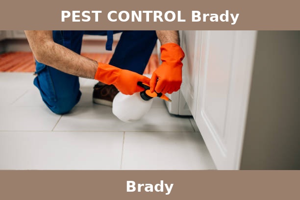 PEST CONTROL Brady